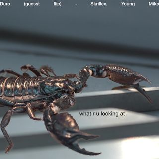 a scorpion saying "what are you looking at" photoshopped onto the original album art for Duro by Skrillex and Young Miko